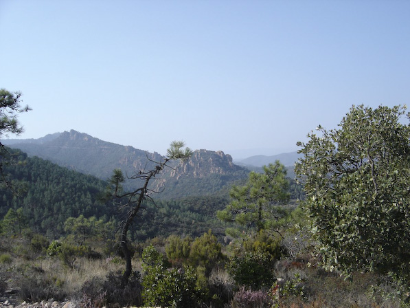 DSC07520