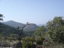 DSC07520